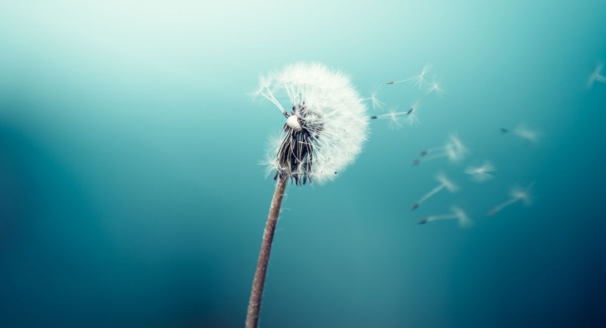 Kairos L’art de saisir l’instant décisif